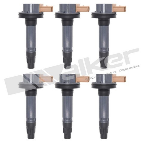 Walker Products Ignition Coil Set 928-4105-6