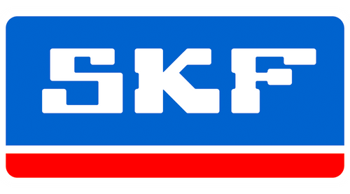Axle Differential Bearing and Se fits 2011-2012 Ram 1500  SKF (CHICAGO RAWHIDE)
