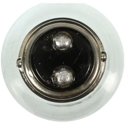 Turn Signal Light Bulb Wagner Lighting 1034
