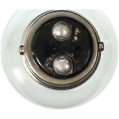 Courtesy Light Bulb Wagner Lighting 1142