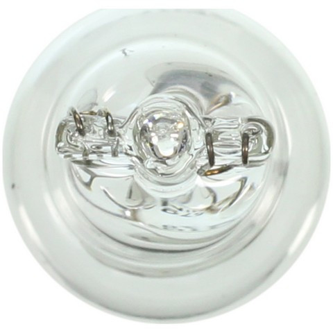 Wagner Lighting Dome Light Bulb,Engine Compartment Light Bulb,Map Light Bulb,Trunk Light Bulb P/N:579