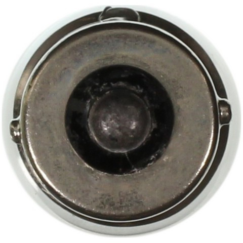 License Plate Light Bulb-Light Bulb Wagner Lighting 63