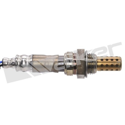 Oxygen (O2) Sensor