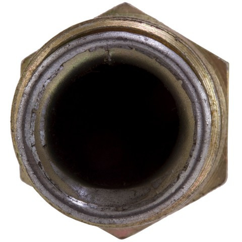 Air / Smog Pump Check Valve