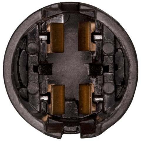 Tail Lamp Socket / Connector Plate