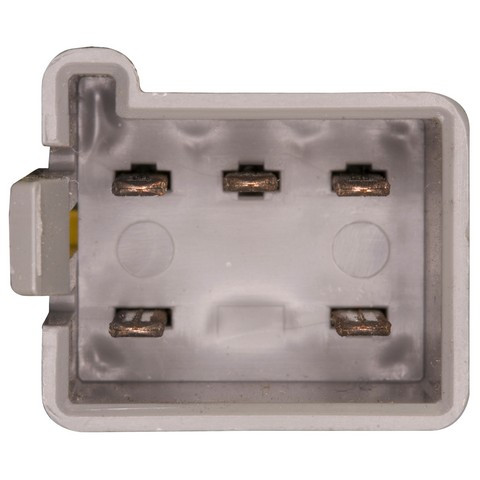 Tail Lamp Socket / Connector Plate