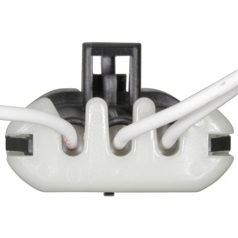 Body Wiring Harness / Connector