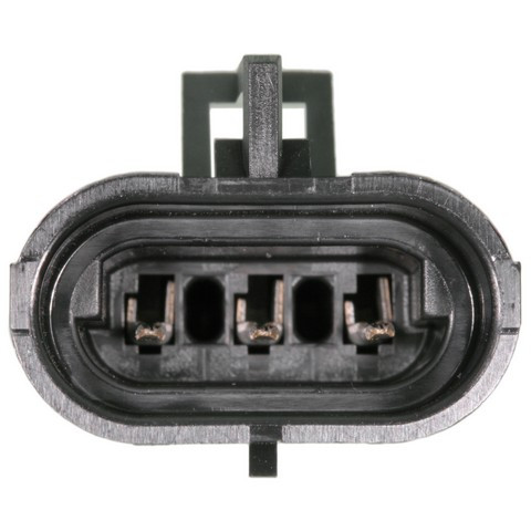 Body Wiring Harness / Connector