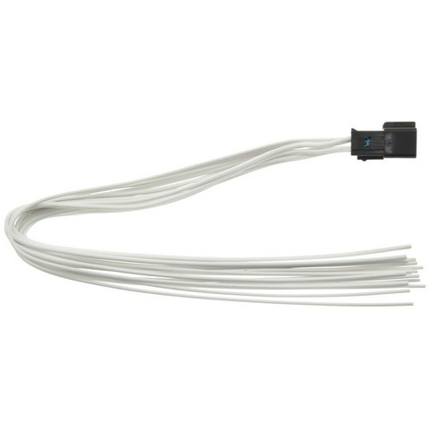 Body Wiring Harness / Connector