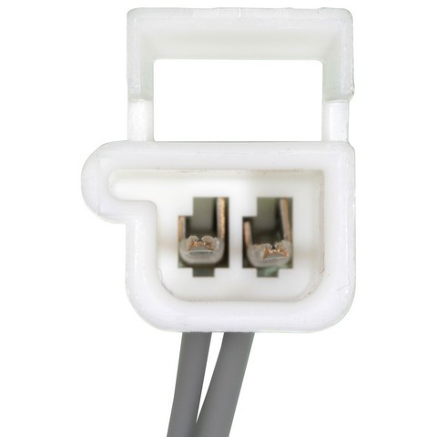 Body Wiring Harness / Connector