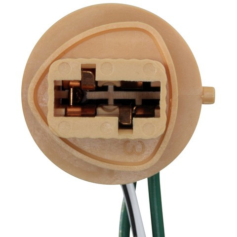 Tail Lamp Socket / Connector Plate