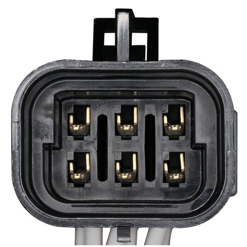 Engine Wiring Harness / Connector