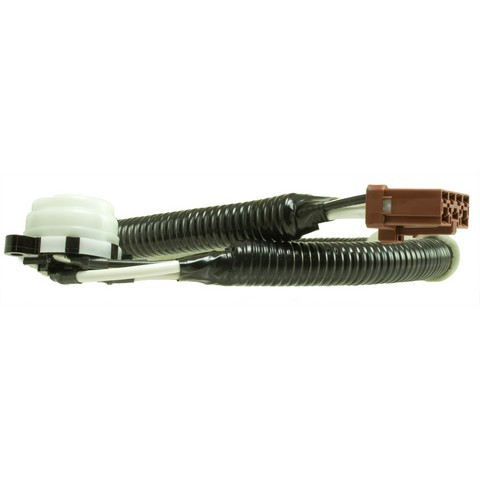 Ignition Starter Switch
