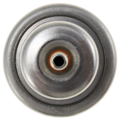 Fuel Injection Pressure Regulator