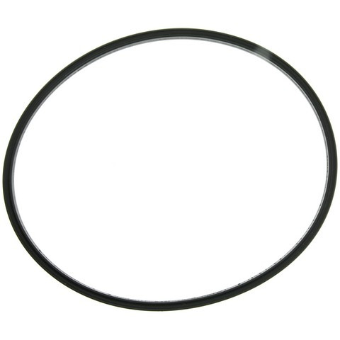 Fuel Injection Pressure Regulator