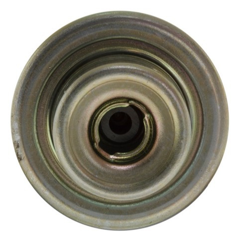 Fuel Injection Pressure Regulator