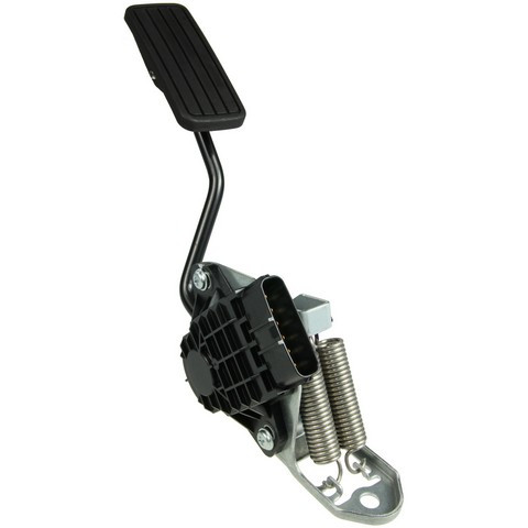Accelerator Pedal Position Sensor