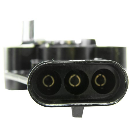 Throttle Position Sensor (TPS)