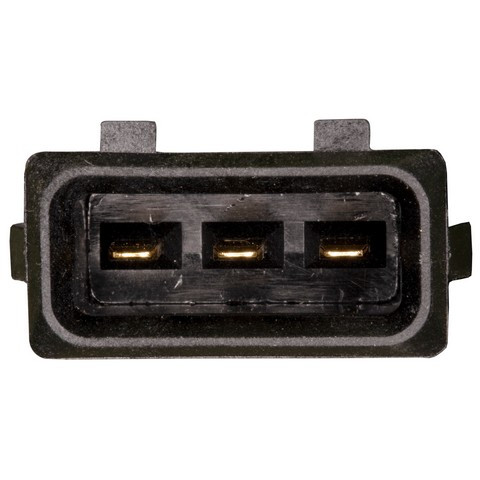Throttle Position Sensor (TPS)