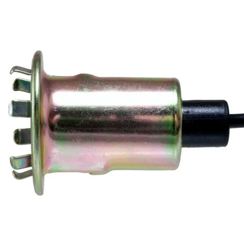 Tail Lamp Socket / Connector Plate