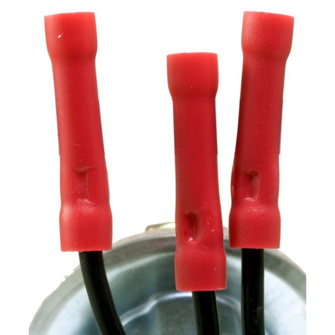 Tail Lamp Socket / Connector Plate
