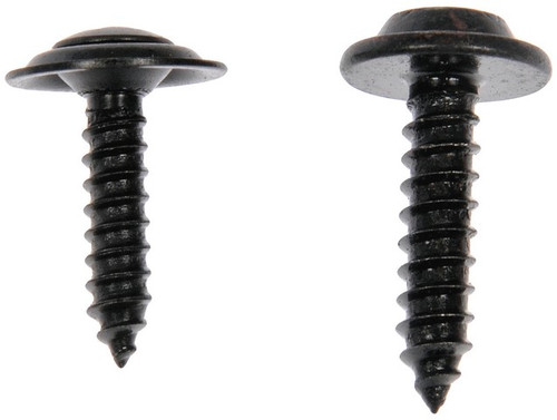 Dorman Screw - view 2