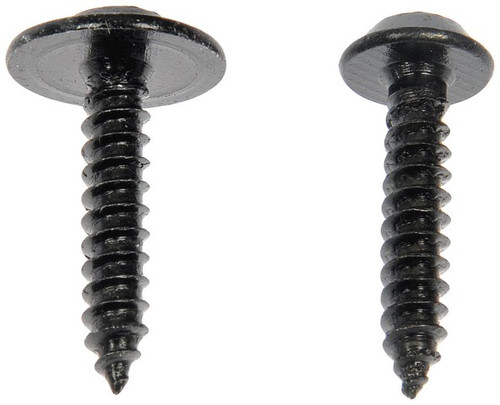 Dorman Screw - view 2