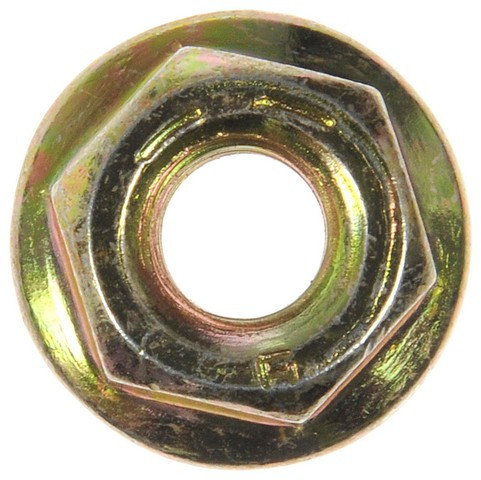 Dorman Nut - view 2