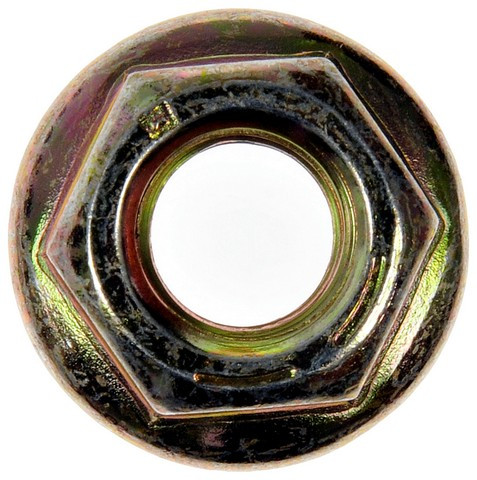 Dorman Nut - view 2