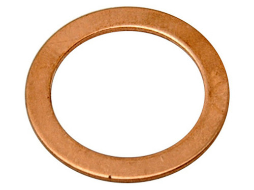 Raybestos Brakes Banjo Washer