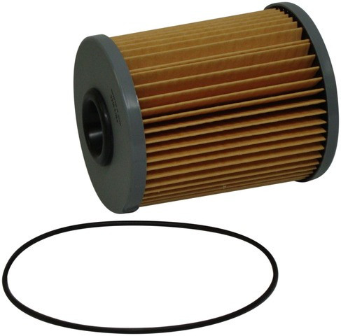 Bosch Fuel Filter P/N:77017WS