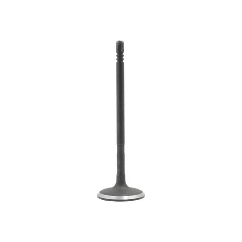 DNJ Engine Intake Valve IV151