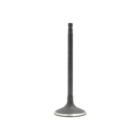 DNJ Engine Intake Valve IV638