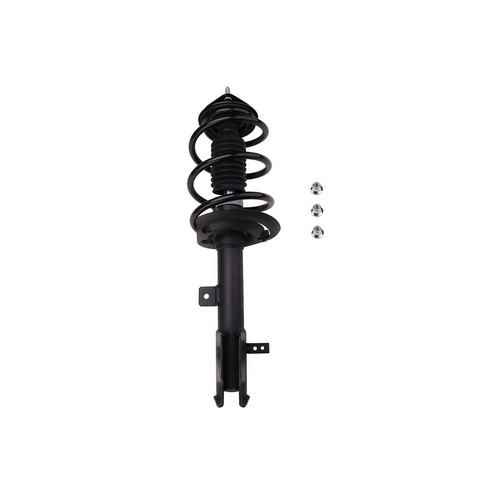 PRT Suspension Strut and Coil Spring Assembly 816955