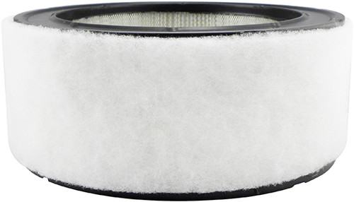 Baldwin Engine Air Filter PA2115