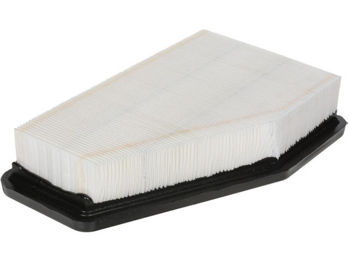 LUBER-FINER Engine Air Filter P/N:AF10025