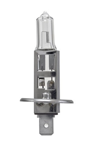 BULB 12V 55W P14.5S T2.5