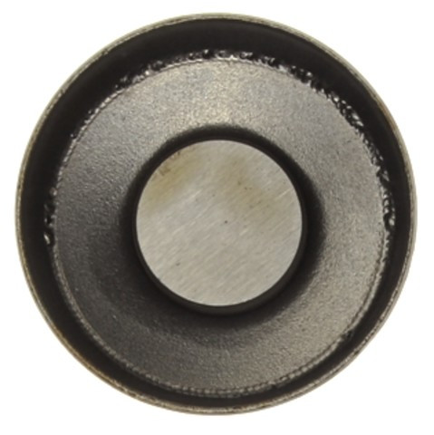MAHLE Engine Valve Lifter P/N:213-1765
