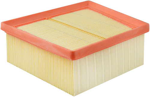 Baldwin Engine Air Filter PA10003