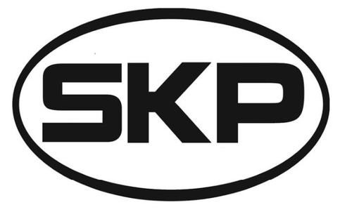 SKP Spark Plug SP1001