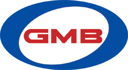 GMB Fuel Pump Module Assembly 530-2615