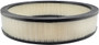 Baldwin Engine Air Filter P/N:PA2002