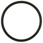 Standard Ignition Fuel Pump O-Ring P/N:GDR201