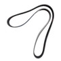 Dayco Serpentine Belt P/N:5100608