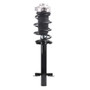 PRT Suspension Strut and Coil Spring Assembly P/N:920345