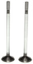 MAHLE Engine Exhaust Valve P/N:211-4524