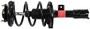Monroe Shocks & Struts Suspension Strut and Coil Spring Assembly P/N:172355