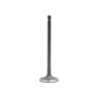 DNJ Engine Intake Valve P/N:IV124