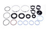 Sunsong Rack and Pinion Seal Kit P/N:8401375
