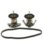 Motorad Engine Coolant Thermostat P/N:716-200